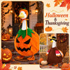 Seasonal Porch Goose Outfit Set