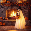 Hodola Halloween Lighted Porch Goose Outfit