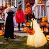 Hodola Halloween Lighted Porch Goose Outfit