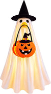 Hodola Halloween Lighted Porch Goose Outfit
