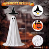 Hodola Halloween Lighted Porch Goose Outfit