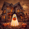 Hodola Halloween Lighted Porch Goose Outfit