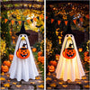 Hodola Halloween Lighted Porch Goose Outfit