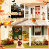 Seasonal Porch Goose Outfit Set