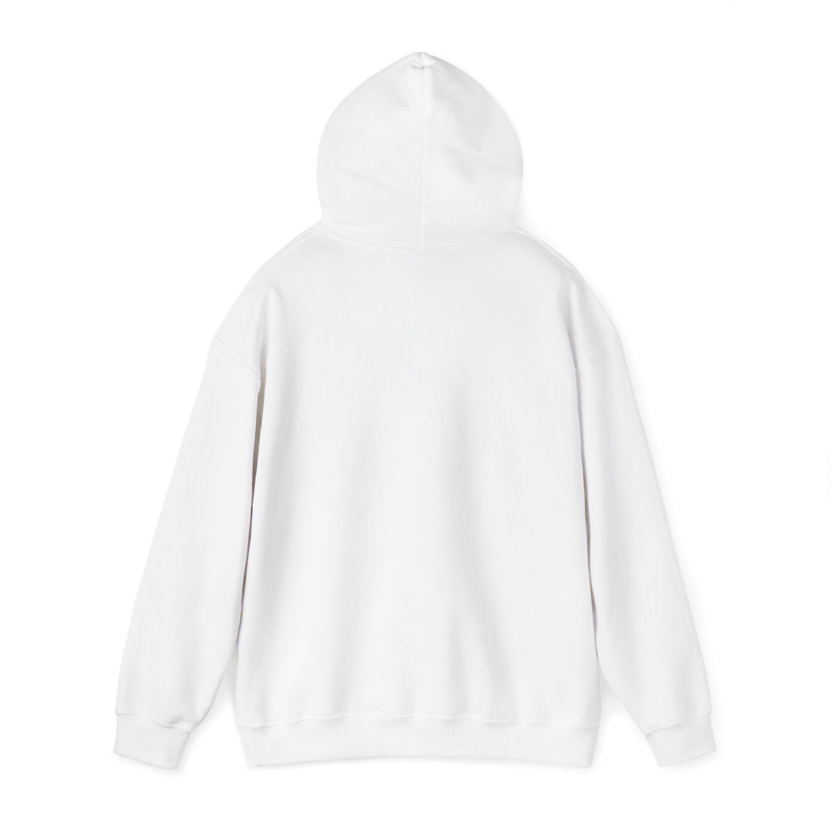 Christmas Hoodie — "Dear Santa, We Can Explain" Funny Santa Pullover